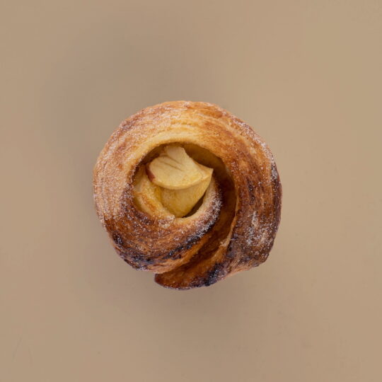Parijs Bolus